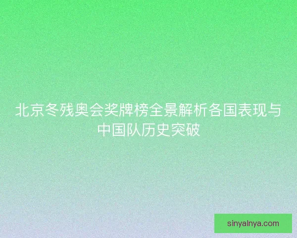 北京冬残奥会奖牌榜全景解析各国表现与中国队历史突破